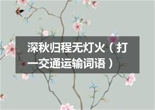 深秋归程无灯火（打一交通运输词语）