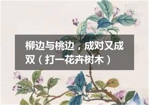 柳边与桃边，成对又成双（打一花卉树木）