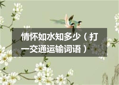 情怀如水知多少（打一交通运输词语）