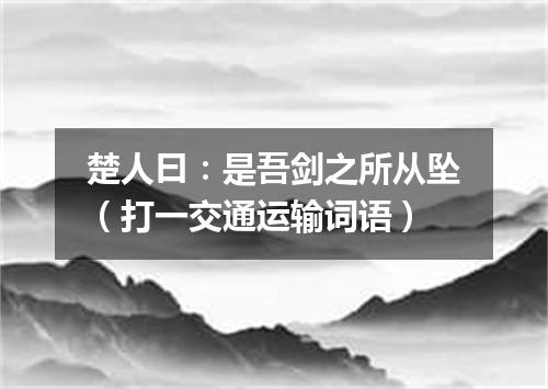 楚人曰：是吾剑之所从坠（打一交通运输词语）