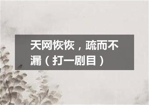 天网恢恢，疏而不漏（打一剧目）