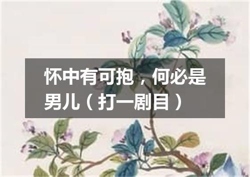 怀中有可抱，何必是男儿（打一剧目）