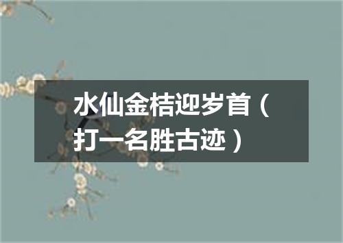 水仙金桔迎岁首（打一名胜古迹）