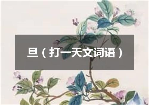 旦（打一天文词语）