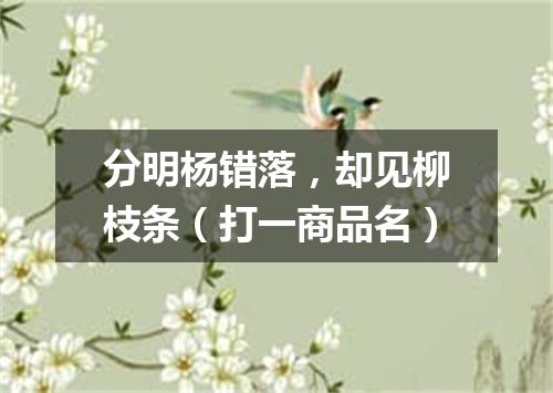 分明杨错落，却见柳枝条（打一商品名）