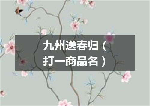 九州送春归（打一商品名）