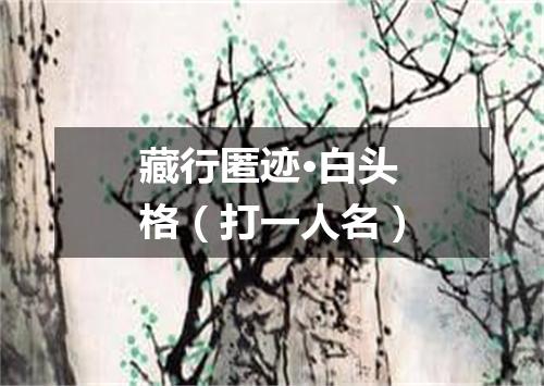 藏行匿迹·白头格（打一人名）