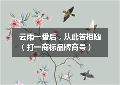 云雨一番后，从此苦相随（打一商标品牌商号）