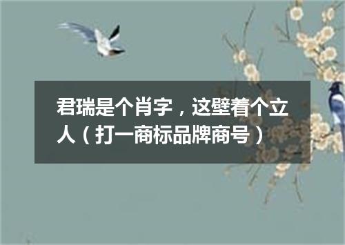 君瑞是个肖字，这壁着个立人（打一商标品牌商号）