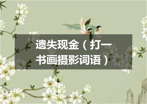 遗失现金（打一书画摄影词语）