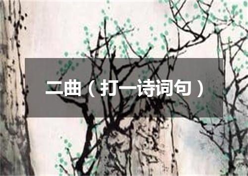 二曲（打一诗词句）