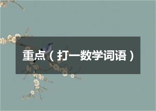 重点（打一数学词语）