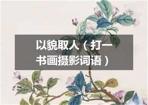 以貌取人（打一书画摄影词语）