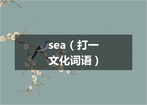 sea（打一文化词语）