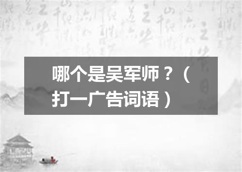 哪个是吴军师？（打一广告词语）