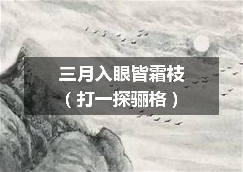 三月入眼皆霜枝（打一探骊格）