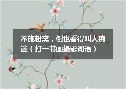 不施粉黛，倒也看得叫人痴迷（打一书画摄影词语）