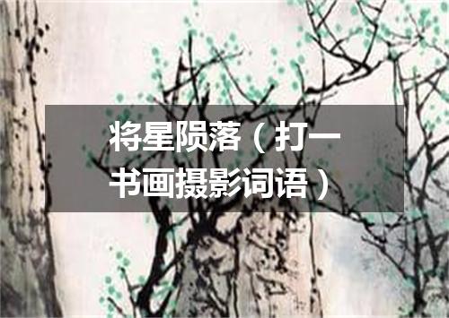 将星陨落（打一书画摄影词语）