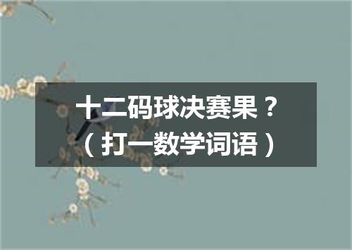 十二码球决赛果？（打一数学词语）