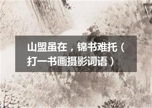 山盟虽在，锦书难托（打一书画摄影词语）