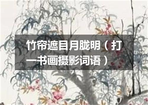 竹帘遮目月胧明（打一书画摄影词语）