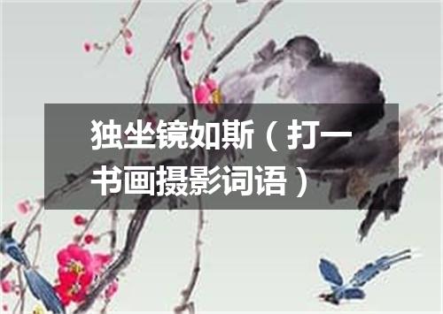 独坐镜如斯（打一书画摄影词语）