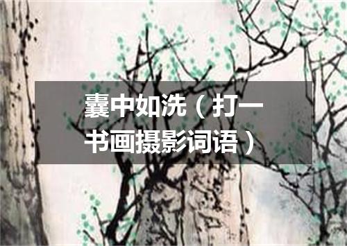 囊中如洗（打一书画摄影词语）