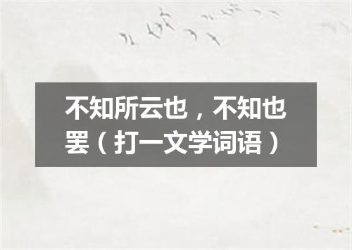 不知所云也，不知也罢（打一文学词语）