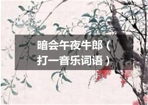 暗会午夜牛郎（打一音乐词语）