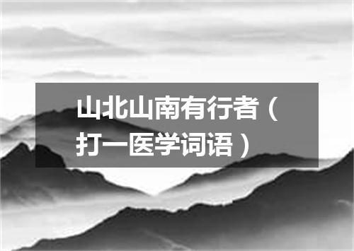 山北山南有行者（打一医学词语）