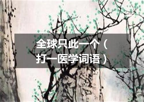 全球只此一个（打一医学词语）