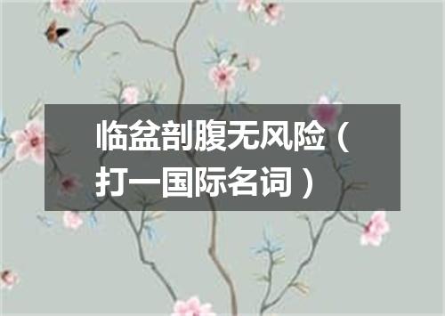 临盆剖腹无风险（打一国际名词）