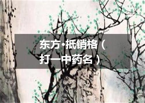 东方·抵销格（打一中药名）