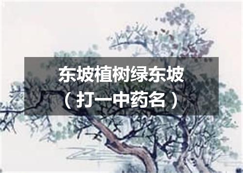 东坡植树绿东坡（打一中药名）