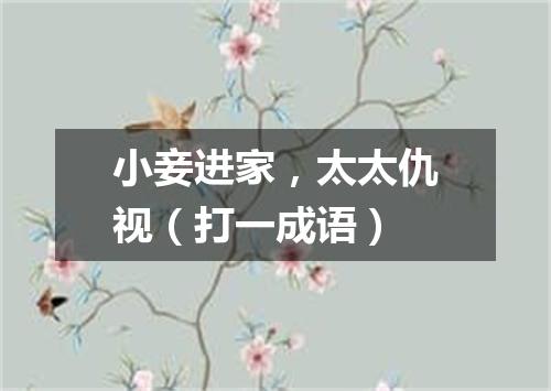 小妾进家，太太仇视（打一成语）