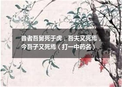 昔者吾舅死于虎，吾夫又死焉，今吾子又死焉（打一中药名）