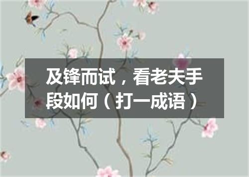 及锋而试，看老夫手段如何（打一成语）