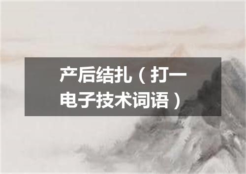 产后结扎（打一电子技术词语）