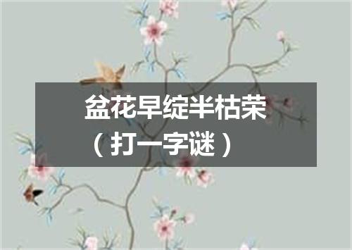 盆花早绽半枯荣（打一字谜）