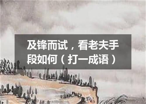 及锋而试，看老夫手段如何（打一成语）