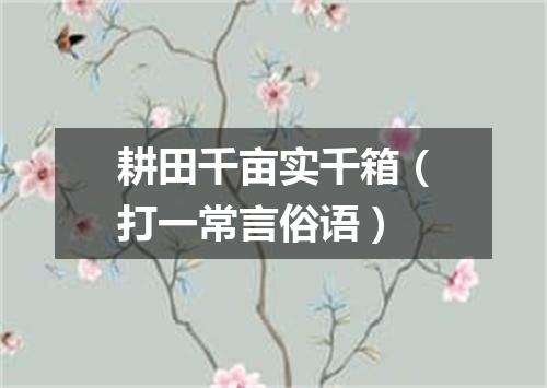 耕田千亩实千箱（打一常言俗语）