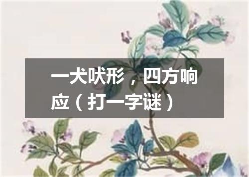 一犬吠形，四方响应（打一字谜）