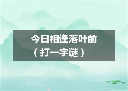 今日相逢落叶前（打一字谜）