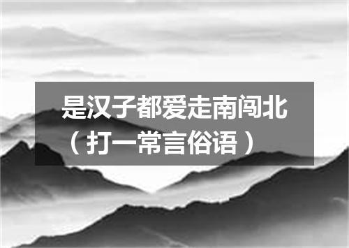 是汉子都爱走南闯北（打一常言俗语）