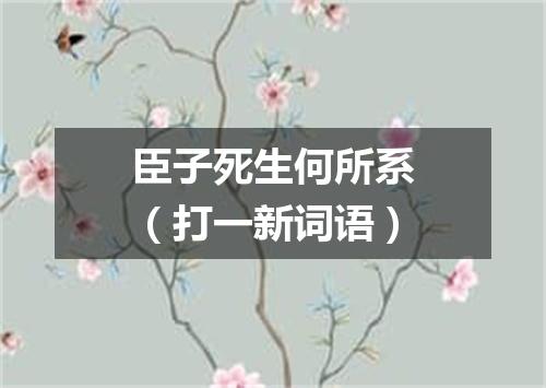 臣子死生何所系（打一新词语）