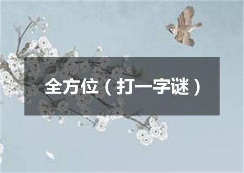 全方位（打一字谜）