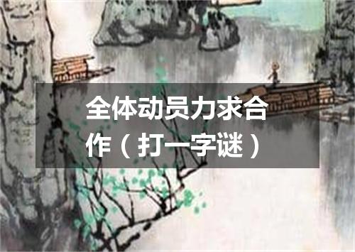 全体动员力求合作（打一字谜）