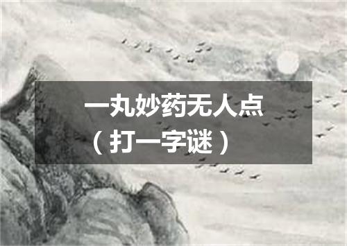 一丸妙药无人点（打一字谜）