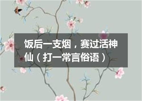 饭后一支烟，赛过活神仙（打一常言俗语）