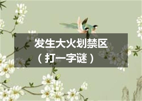 发生大火划禁区（打一字谜）